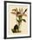 Lycaste Deppei Var Punctatissima-John Nugent Fitch-Framed Giclee Print