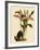 Lycaste Deppei Var Punctatissima-John Nugent Fitch-Framed Giclee Print