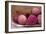 Lychee Fruit-Maxine Adcock-Framed Photographic Print