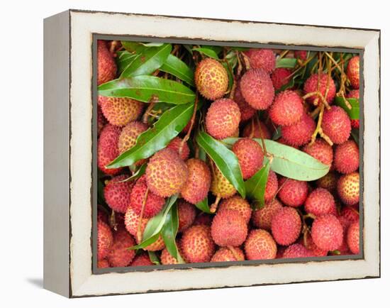 Lychees-Bjorn Svensson-Framed Premier Image Canvas