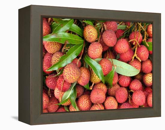 Lychees-Bjorn Svensson-Framed Premier Image Canvas