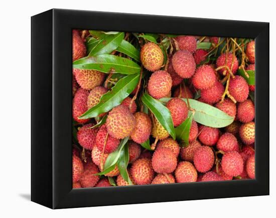 Lychees-Bjorn Svensson-Framed Premier Image Canvas