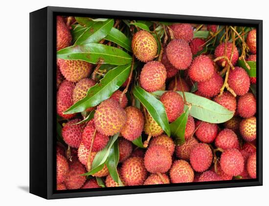 Lychees-Bjorn Svensson-Framed Premier Image Canvas