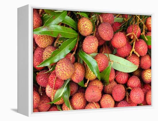 Lychees-Bjorn Svensson-Framed Premier Image Canvas