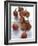 Lychees-Nicolas Leser-Framed Photographic Print