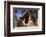 Lychgate of Winfrith Newburgh Church, Dorset, 20th century-CM Dixon-Framed Photographic Print