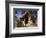 Lychgate of Winfrith Newburgh Church, Dorset, 20th century-CM Dixon-Framed Photographic Print