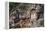 Lycian tombs, Dalyan, Mugla Province, Anatolia, Turkey, Asia Minor, Eurasia-Matthew Williams-Ellis-Framed Premier Image Canvas