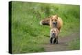 Stretched Canvas Print