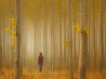 Lost in Autumn-Lydia Jacobs-Mounted Photographic Print