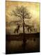 Premium Photographic Print