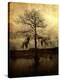 Stretched Canvas Print