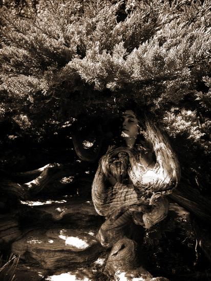 Photographic Print, , large