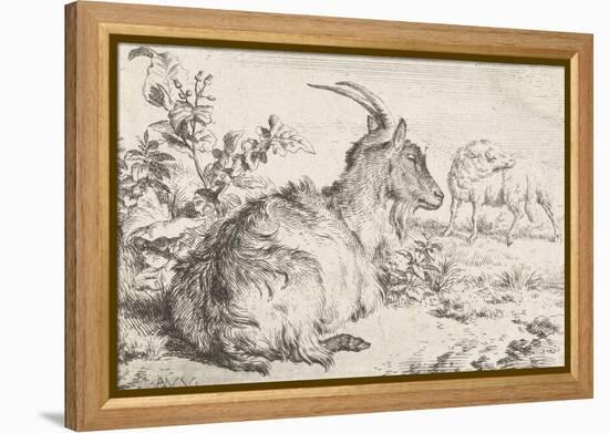 Lying goat, 1670-Adriaen van de Velde-Framed Premier Image Canvas