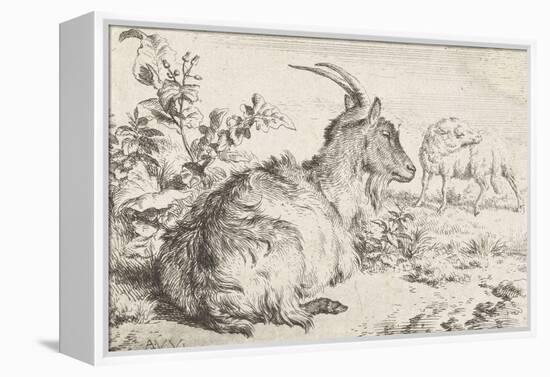 Lying goat, 1670-Adriaen van de Velde-Framed Premier Image Canvas