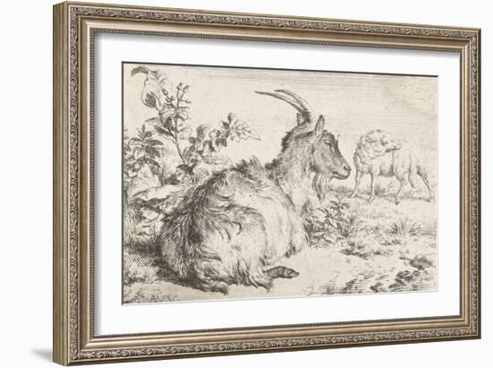 Lying goat, 1670-Adriaen van de Velde-Framed Giclee Print