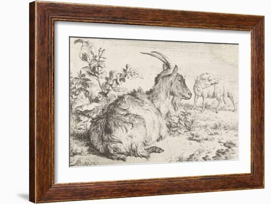 Lying goat, 1670-Adriaen van de Velde-Framed Giclee Print