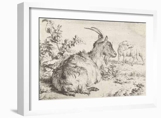 Lying goat, 1670-Adriaen van de Velde-Framed Giclee Print