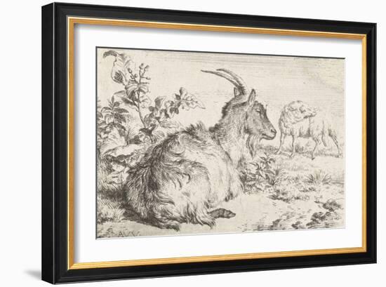 Lying goat, 1670-Adriaen van de Velde-Framed Giclee Print