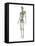 Lymphatic System, Artwork-SCIEPRO-Framed Premier Image Canvas