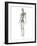 Lymphatic System, Artwork-SCIEPRO-Framed Photographic Print