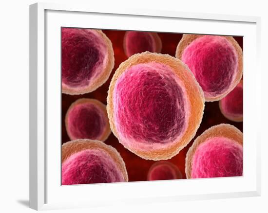 Lymphocyte White Blood Cells, Artwork-David Mack-Framed Photographic Print