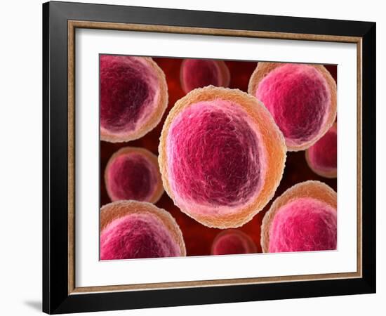 Lymphocyte White Blood Cells, Artwork-David Mack-Framed Photographic Print