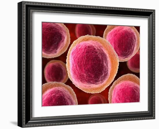 Lymphocyte White Blood Cells, Artwork-David Mack-Framed Photographic Print
