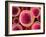 Lymphocyte White Blood Cells, Artwork-David Mack-Framed Photographic Print