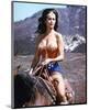 Lynda Carter-null-Mounted Photo