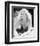 Lynda Day George-null-Framed Photo