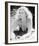 Lynda Day George-null-Framed Photo