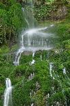 Moss Waterfall-Lynda White-Photographic Print