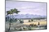 Lynedoch Valley Looking Towards the Barossa Range, South Australia Illustrated, Pub. in 1847-George French Angas-Mounted Giclee Print