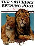 "Lion Couple," Saturday Evening Post Cover, March 19, 1932-Lynn Bogue Hunt-Giclee Print