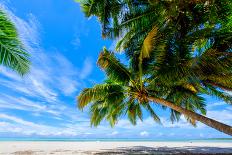 Palm trees edging, Scout Park Beach, Cocos (Keeling) Islands, Indian Ocean, Asia-Lynn Gail-Framed Photographic Print