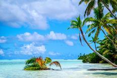 Palm trees edging, Scout Park Beach, Cocos (Keeling) Islands, Indian Ocean, Asia-Lynn Gail-Photographic Print