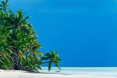 Palm trees edging, Scout Park Beach, Cocos (Keeling) Islands, Indian Ocean, Asia-Lynn Gail-Framed Photographic Print