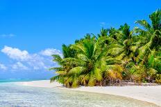 Palm trees edging, Scout Park Beach, Cocos (Keeling) Islands, Indian Ocean, Asia-Lynn Gail-Photographic Print