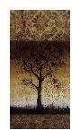 Oak Tree I-Lynn Kelly-Stretched Canvas