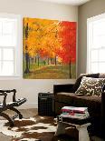 Autumn Road-Lynn Krause-Stretched Canvas