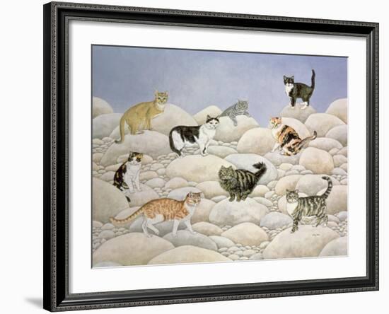 Lynn Valley Cats-Ditz-Framed Giclee Print