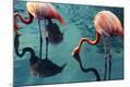 Photographic Print