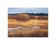 Valley Lake-Lynn Welker-Framed Giclee Print