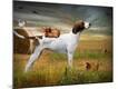 Premium Photographic Print