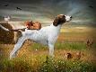 Premium Photographic Print