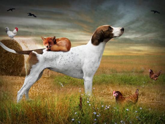 Photographic Print, , large