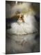 Premium Photographic Print