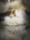 Premium Photographic Print