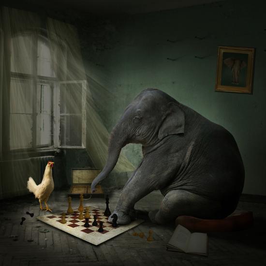 Photographic Print, , large